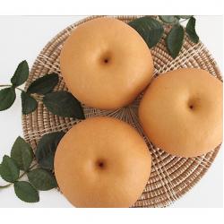 못난이배 가정용배 성환배 신고배 흠집배 3kg 5kg 15kg 선물세트 배5kg 과일