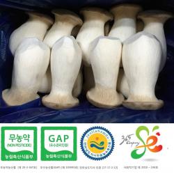 새송이는마니꺼 새송이버섯, 1box, 1kg상