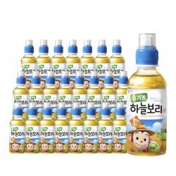 웅진 유기농 하늘보리차, 보리차, 24개