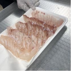 자연산 광어회 400g 2인분 군산앞바다 대광어 숙성회