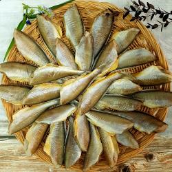 부산 반건조 생선 두절참조기 새끼참조기 손질 반찬용 구이 조림용 15~18마리/15cm 550g 내외