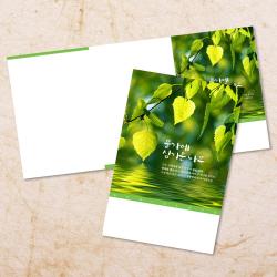 교회 절기 주보 추수감사절 주보용지 3단 6면 주보지 52주 디자인 순서지 안내지 교회용품 기독교용품 주일학교 청년부 전도용품 새교우, EW-41