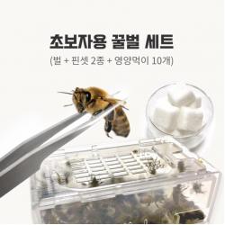 비플라이 초보자용 벌침 봉침 세트 벌120마리+핀셋2종+영양먹이 10개 초보자용 벌침 세트
