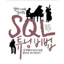 실전 사례로 살펴보는 Sql 튜닝 비법:기본 문법부터 최적의 성능을 발휘하는 Sql 작성까지 인사이트
