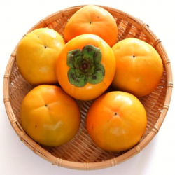 [품질평가 대상 수상] 햇 단감 대과 특대과 5kg 10kg 창녕 태추단감 배단감 진영단감 부유단감, 2) 상품 5kg, 1개