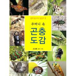 주머니 속 곤충 도감 황소걸음