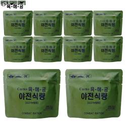 육해공 야전식량 쇠고기비빔밥, 100g, 10개