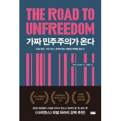 가짜 민주주의가 온다:도둑 정치 거짓 위기 권위주의는 어떻게 권력을 잡는가, 부키