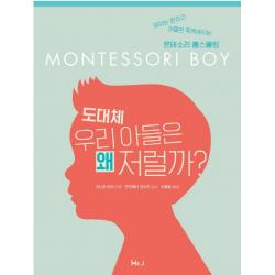 도대체 우리 아들은 왜 저럴까?:엄마는 편하고 아들은 똑똑해지는 몬테소리 홈스쿨링, 미스터제이