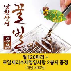 남한산성벌꿀농장 벌침벌 봉침벌 벌 벌침 봉독 벌침용벌 봉침용벌/로얄제리+꿀 영양사탕을 먹은 쌩쌩벌, 1개, 200마리이상