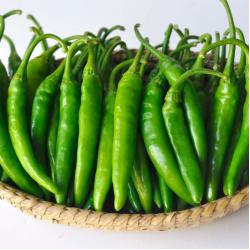 바르다야채 국내산 청양고추 특 1kg 매운고추 1개