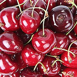 (에이원플러스) 워싱턴 생 체리 9.5 Row 점보 포장단위 1kg 2kg 5kg