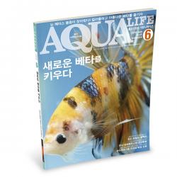 [자연과 사람] 아쿠아라이프 2018년 6월호 (새로운 베타를 키우다