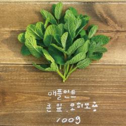 유기농 애플민트 생잎 큰 잎 100g/모히또용 1봉
