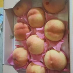 (도담이네신선과일) 고당도 복숭아 단단한 황도 상주복숭아 4kg (14~17과)