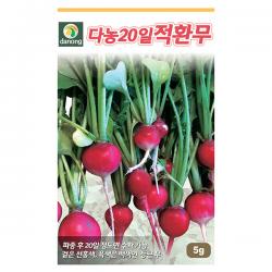 청로메인 상추 씨앗 2000립 - 상추씨앗 상추씨 청치마 쌈채소 야채씨앗 채소씨앗 채소재배 종묘 종자 베란다 텃밭 씨 씨앗, 06_다농_20일 적환무(5g)