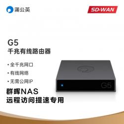 공유기 민들레 G5 VPN 가상 조 네트안 그물 관통 디스켓 맵이다 많다 땅 사무실 판 다크 2645818827, 민들레 G5 타향 네트워크를 구성함
