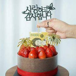  차렌시아 돈 나오는 케이크 돈 뽑는 용돈 박스 반전 케이크 돈티슈 만들기 Diy세트 3. 케이스 중형 +토퍼 사랑하고감사합니다 