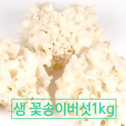 국내산 무농약 생꽃송이버섯 1kg 1개