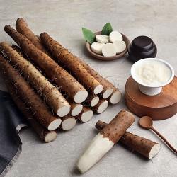 서안동농협 장마 2kg 안동마 진주마