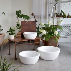 화단 플라스틱 화이트 낮은화분 50x20cm 베란다가드닝 가로수 아파트텃밭 미니정원 플랜트, 화이트 물구멍o
