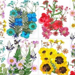 수지용 건화 76PCS 천연 혼합 건식 다발성 건식화잎 액세서리 장식 공예용 건식화 양치류 양치류 네일, 1