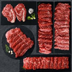 [당일출고] 가야애우 국내산 소고기 프리미엄세트 (꽃등심 300g+갈비살 150g+부채살 150g+안창살 150g+치마살 150g) 구이용