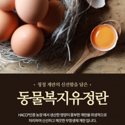 난각번호 1번 자연방사동물복지 자연방사 유정란 40구 60구 20구, 60알