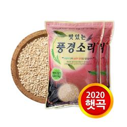 현대농산 2020년산 제주 햇 늘보리10kg 5kgx2 1개 10kg