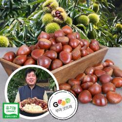 우리네농산물 유기농 굿뜨래 알밤(중/대/특) / 깐밤(대) Organic chestnuts, 1박스, 중2kg