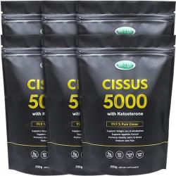 [미국번개배송] 착한명품 신제품 마이라이프 시서스 5000 가루 250g 6팩