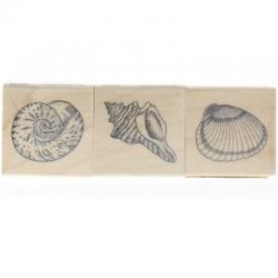 SEASHELLS (3 개 세트) 고무 도장, 단일상품, 단일상품