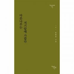 이노플리아 마른나무는 저기압에 가깝다 0067 천년의시, One color | One Size@1