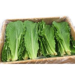 야채왕 로메인 2kg 쌈채소 잎로메인 로메인 상추 로메인 쌈