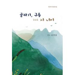 골짜기 구름 그리고 저 너머:자전적 에세이집 경희대학교출판문화원