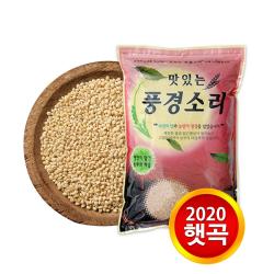 현대농산 2020년산 햇곡 찰보리5kg 1개 5kg