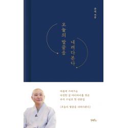 오늘의 발끝을 내려다 본다 담앤북스