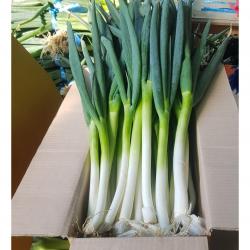 국내산 대파 손질대파 5kg /3kg, 3kg