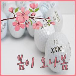 A급 젝시오 펄화이트 로스트볼 황금연휴, 25. 가성비 흰색 혼합 A급_10알