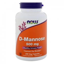 Now Foods D-Mannose 나우푸드 디만노스 500mg 240캡