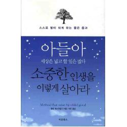 아들아 세상은 넓고 할 일은 많다 소중한 인생을 이렇게 살아라, 새론북스