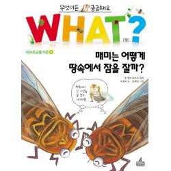 무엇이든 궁금해요 매미는 어떻게 땅속에서 잠을 잘까, WHAT SCHOOL