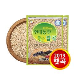 현대농산 2019년산 찰보리 쌀보리 늘보리 4kg 1포 늘보리 총 4kg