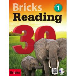 Bricks Reading 30. 1 사회평론