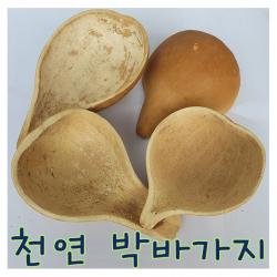 Iqplus 박바가지 1개 박바가지/중