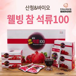 웰빙참석류 석류 원액즙 터키산 석류즙 100 농축과즙 14brix 여성 갱년기 선물용 착즙 파우치 30포, 2box