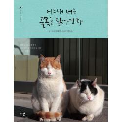 어느새 너는 골목을 닮아간다 (고양이는 고양이다. 2):외롭고 높고 쓸쓸한 길고양이와 우리들을 위한 사진 에세이, 이상미디어