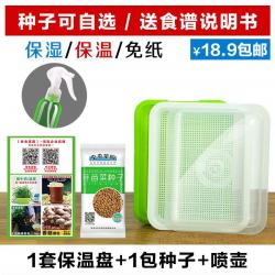 핑핑 걸이 거치대 완두콩싹 심다 접시 모종을 기르다 요리틀 싹이트다 무토 채소 식수를 재배하다, 1보온 접시 /1종 /분무기