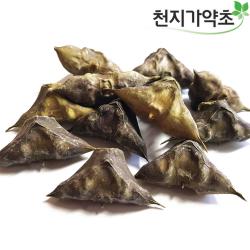 천지가약초 충남태안 햇 마름열매 500g 물밤 능실 1개