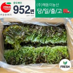 <해돋이농산> 꽃상추 특품 2kg 꽃상추1박스 2kg 